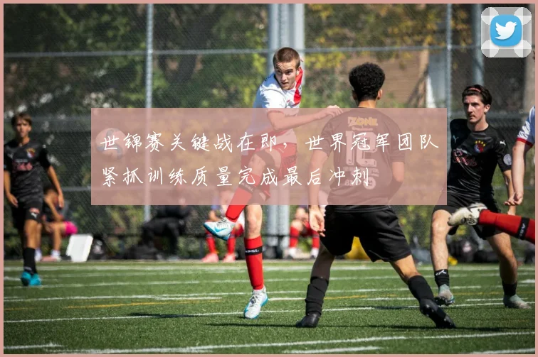 世锦赛关键战在即，世界冠军团队紧抓训练质量完成最后冲刺