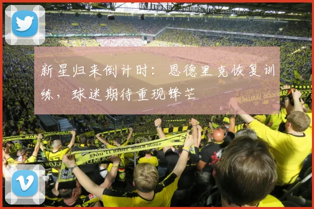 新星归来倒计时：恩德里克恢复训练，球迷期待重现锋芒